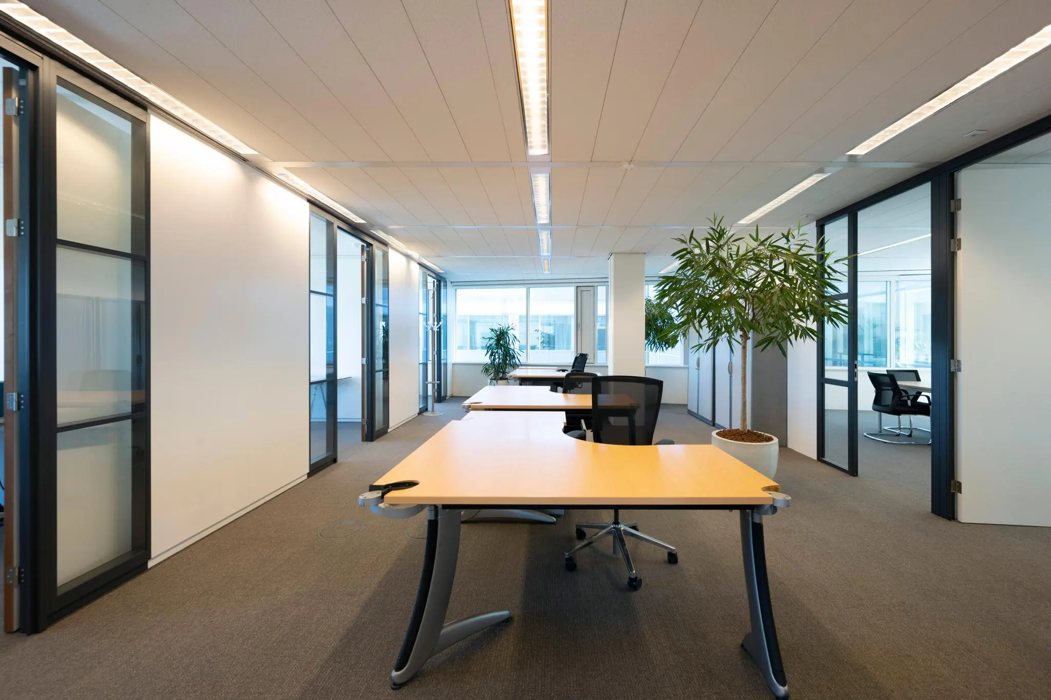 Modern kantoorinterieur aan de Thomas R. Malthusstraat met werkplekken, glazen scheidingswanden en kamerplanten.